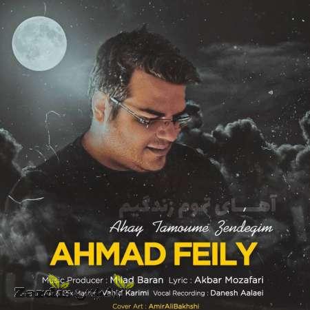 دانلود آهنگ جدید احمد فیلی به نام آهای تموم زندگی